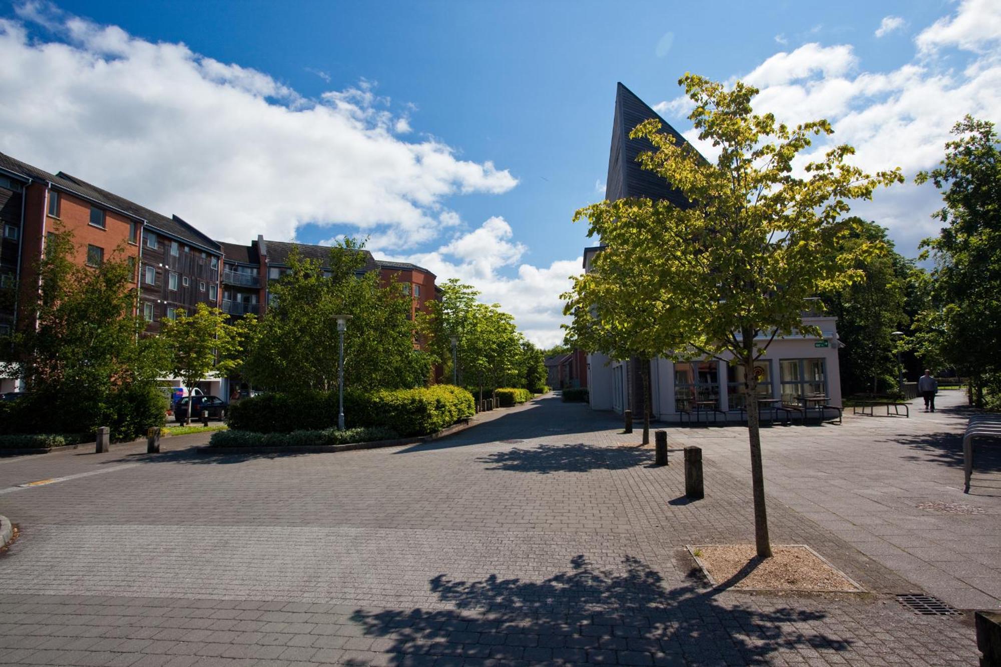 Dromroe Village University Of Limerick Junction エクステリア 写真